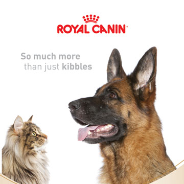 Royal Canin Cover