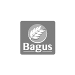 bagus